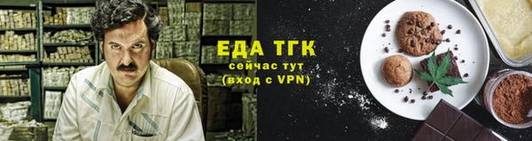 тгк Алексин